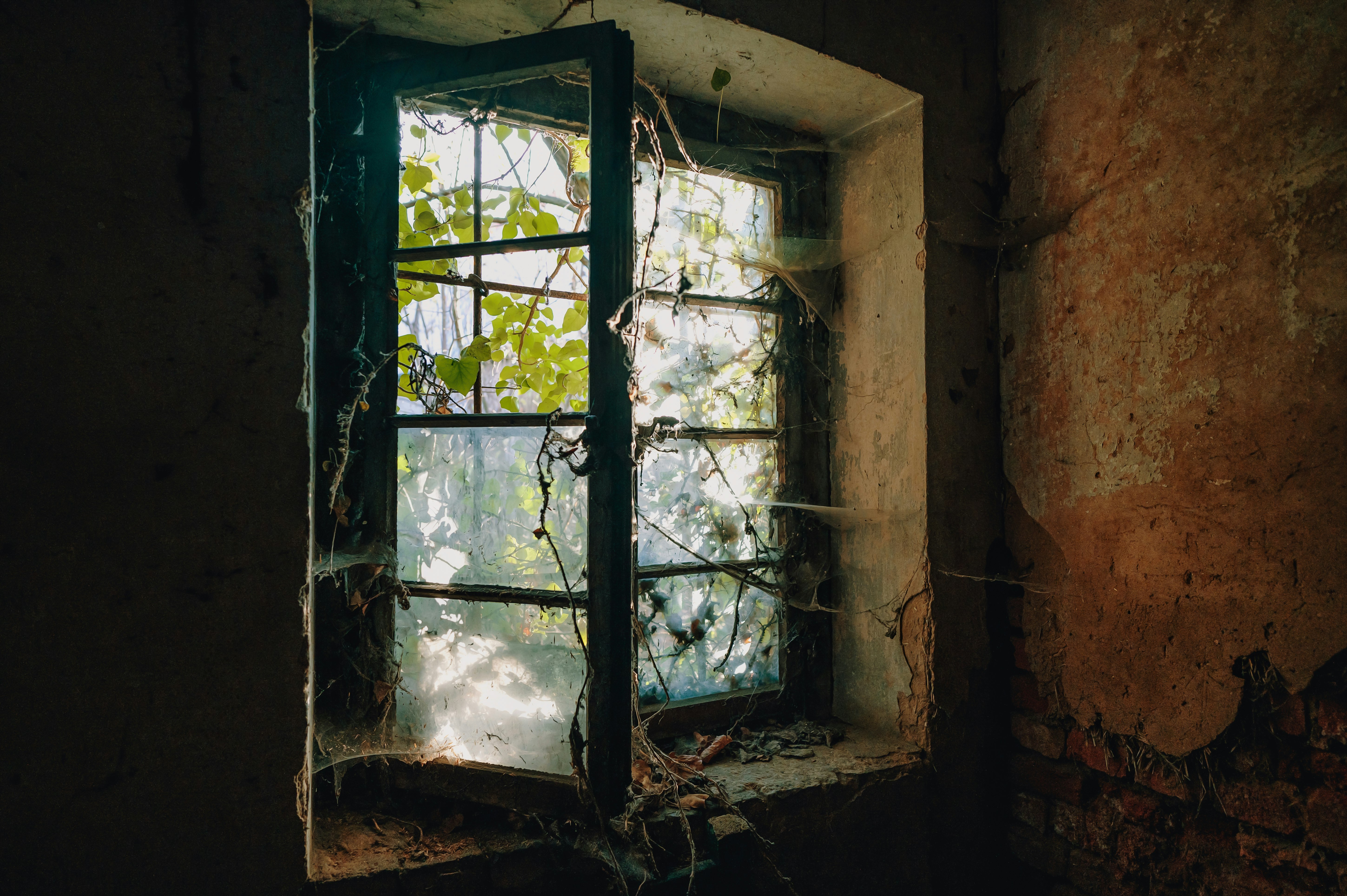 black metal framed glass window